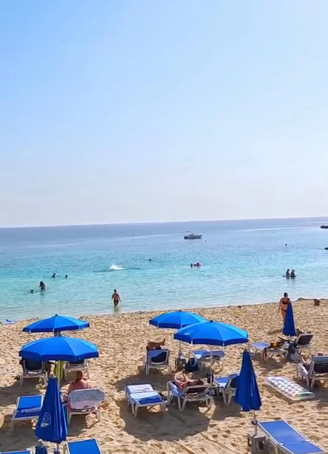 Nissi Elena -Sunshine Apt أيا نابا المظهر الخارجي الصورة